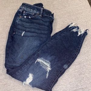 Distressed Curvy Fit High-rise Skinny Jean